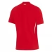 Maglia Turchia Divisa Trasferta Euro 2024