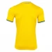 Maglia Ucraina Divisa Prima Euro 2024