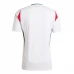 Maglia Ungheria Divisa Trasferta Euro 2024