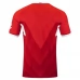 Maglia VfB Stuttgart Divisa Trasferta 2024/25