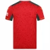 Maglia Wolves FC Divisa Trasferta 2023/24
