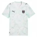 Seconda Maglia Austria Mondiali 2026