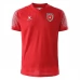 Seconda Maglia Giordania Mondiali 2026