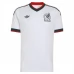 Seconda Maglia Messico Mondiali 2026
