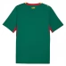 Seconda Maglia Senegal Mondiali 2026