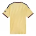 Terza Maglia Arsenal 2026/27