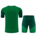 Tuta(Maglia+Shorts) Algeria Bambino 2026/27 Verde